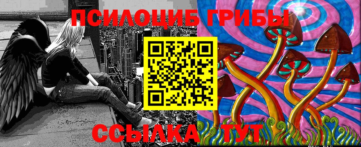 Вязьма  Псилоцибиновые грибы GOLDEN TEACHER  Вход с VPN 